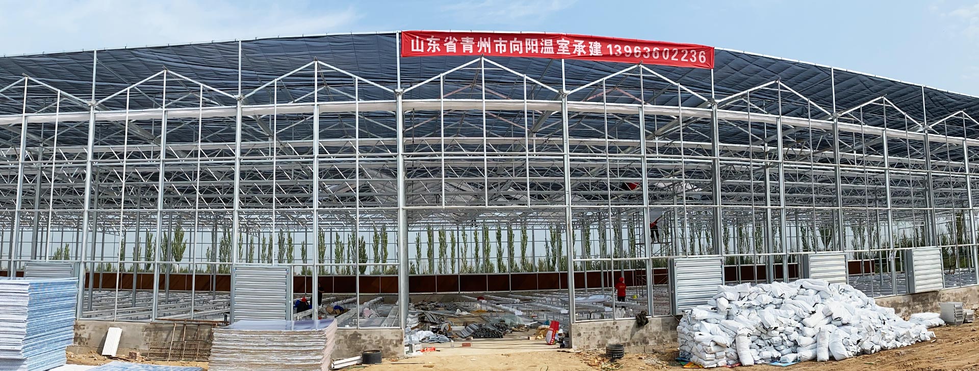 青州市向阳农业科技有限公司